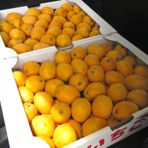 旬の食材を直売所で生産者から直接購入