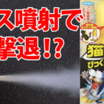 猫の糞尿対策にフマキラー猫まわれ右びっくりスプレー買ってみた